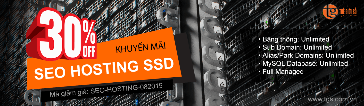 Thế Giới Số khuyến mãi 30% dịch vụ SEO HOSTING SSD
