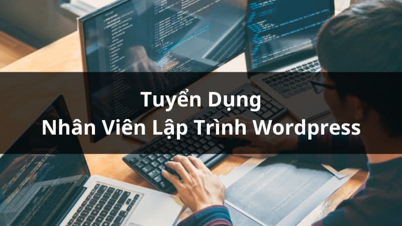 THẾ GIỚI SỐ Tuyển Dụng Nhân Viên Lập Trình WordPress